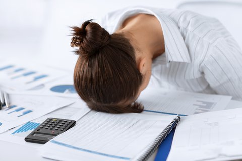 creating a business plan for esl