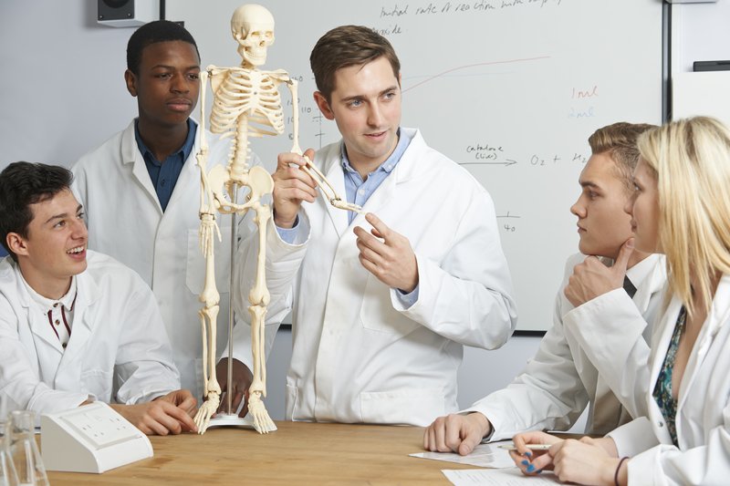 ESL Lesson Plans For Teachers Vocabulary: Body Language - Linguahouse.com
