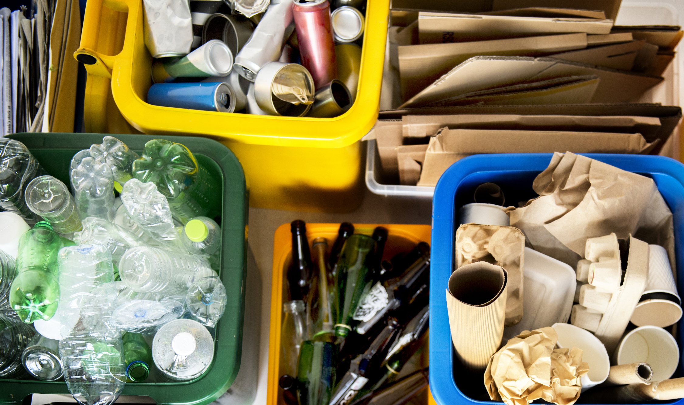 Recycling rules: ESL/EFL Lesson Plan and Worksheet