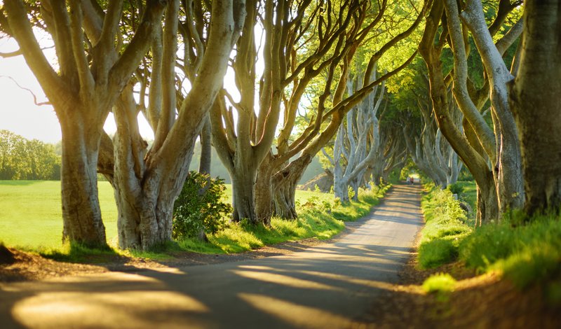 asking for travel information lesson plan